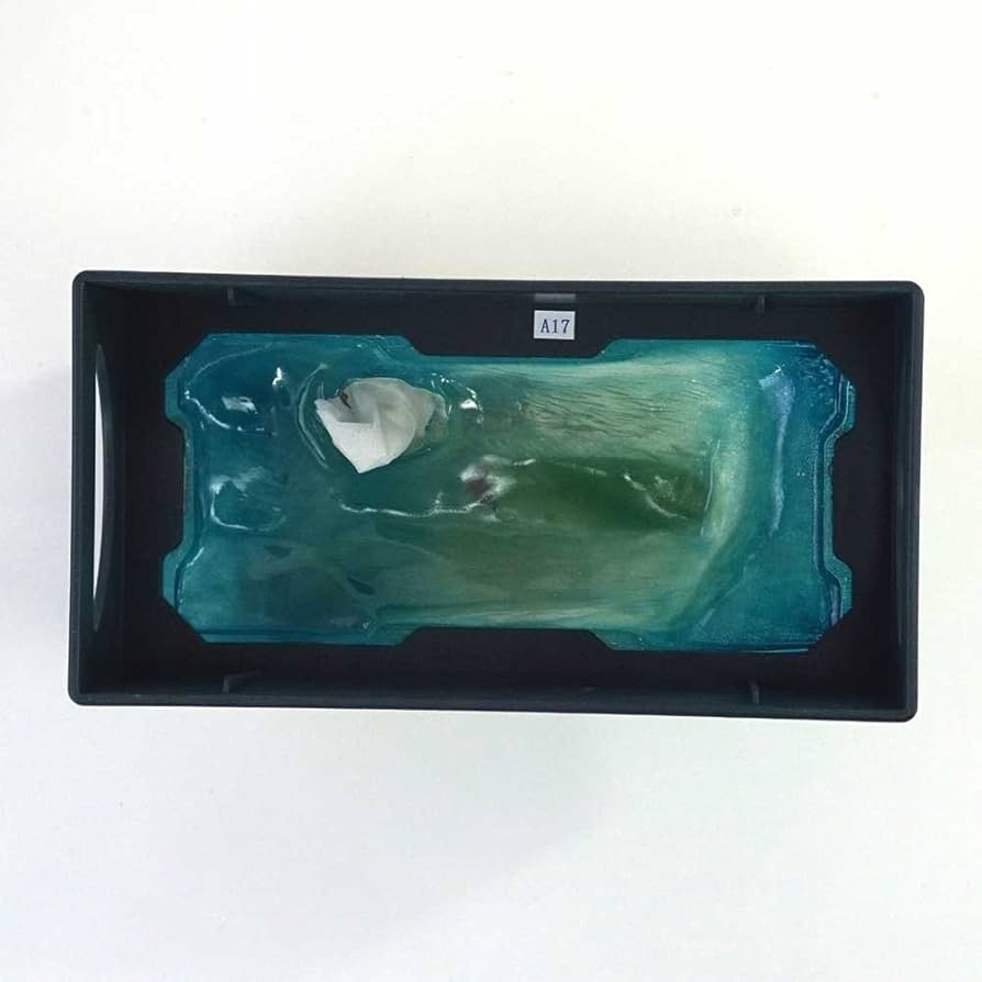 hiroページ Amazon.com: Rotary Hiro RH-375 Tissue Case, Surfer Crade